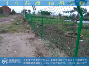 佛山平胜大桥底农庄护栏